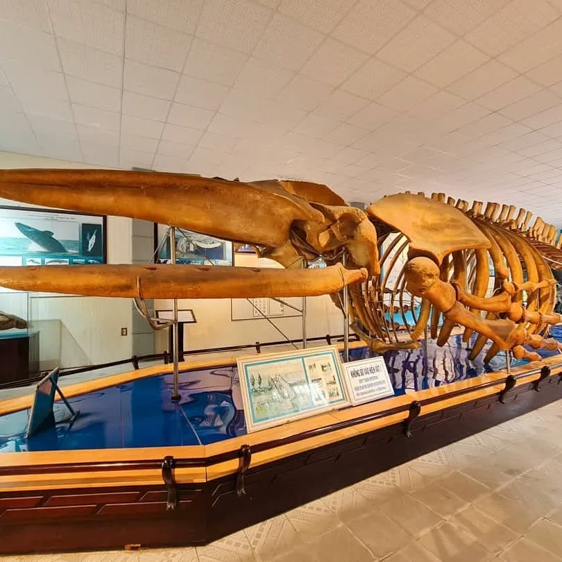 Nha Trang Institute of Oceanography 2025: A Journey to Discover Southeast Asia's Largest "Miniature Ocean"