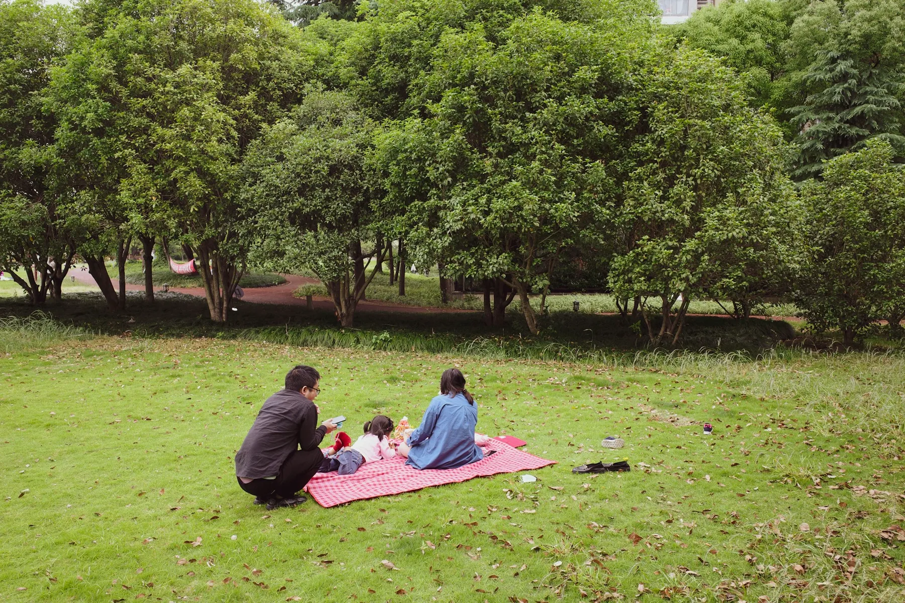 Free Family Fun in Melbourne: 30+ No-Cost Activities Kids Will Love