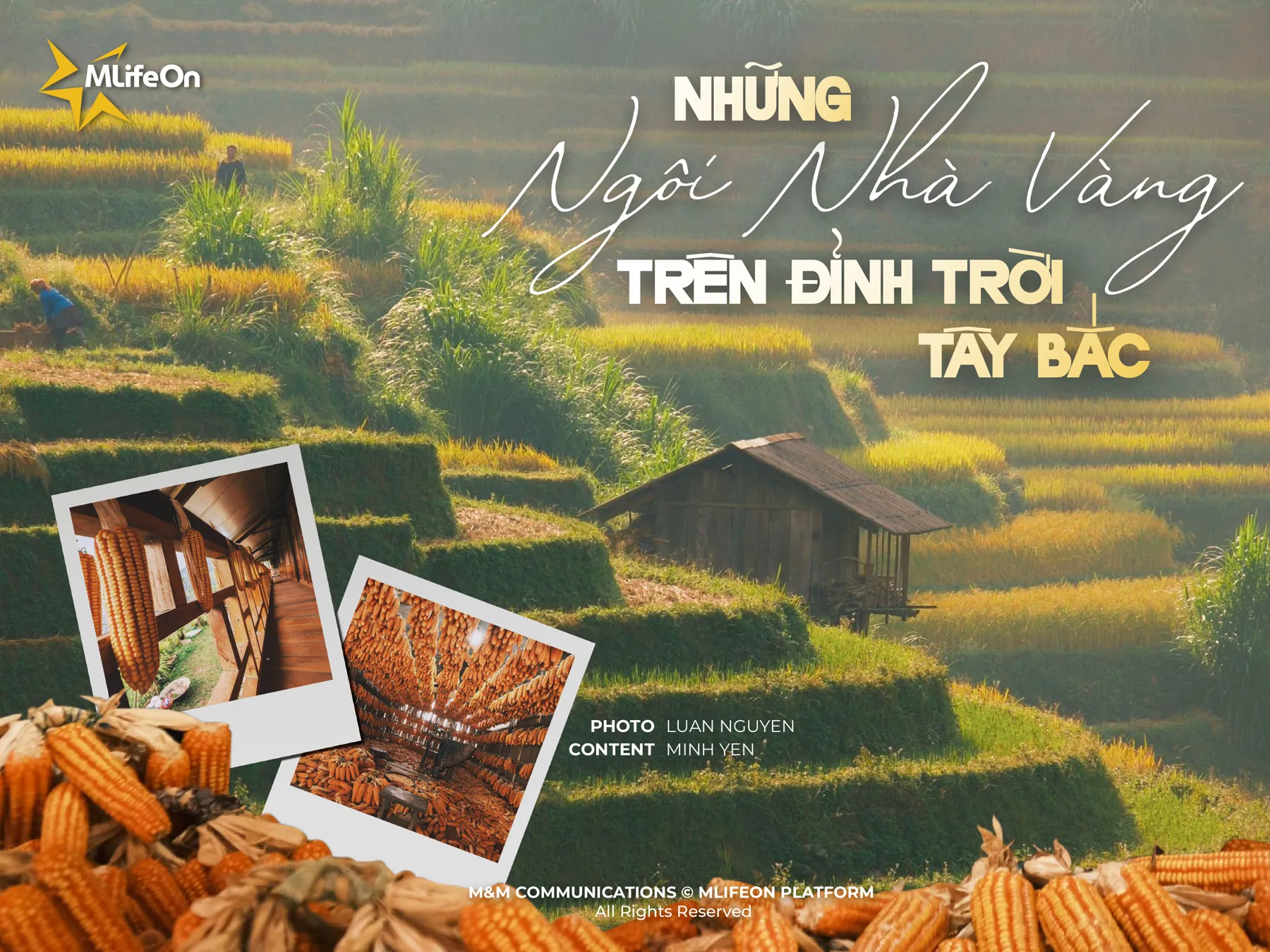 DISCOVER THE “GOLDEN HOMES” ON THE ROOFTOPS OF THE NORTHWEST