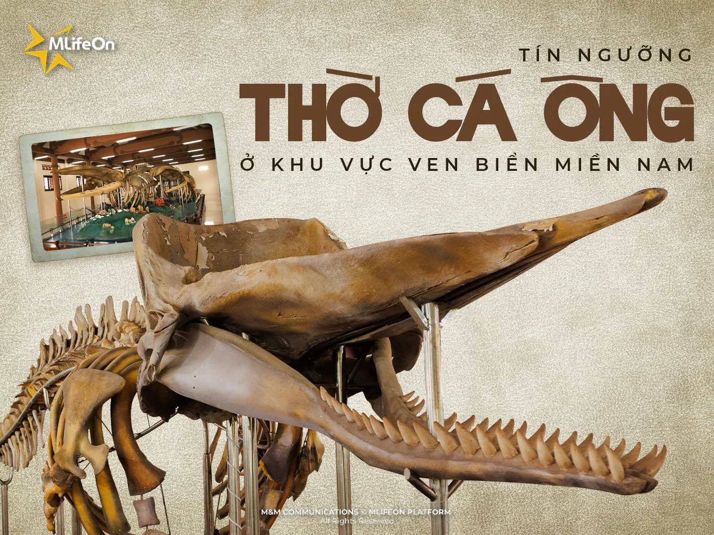 VIETNAMESE BELIEFS: WORSHIPING THE WHALE IN COASTAL AREAS