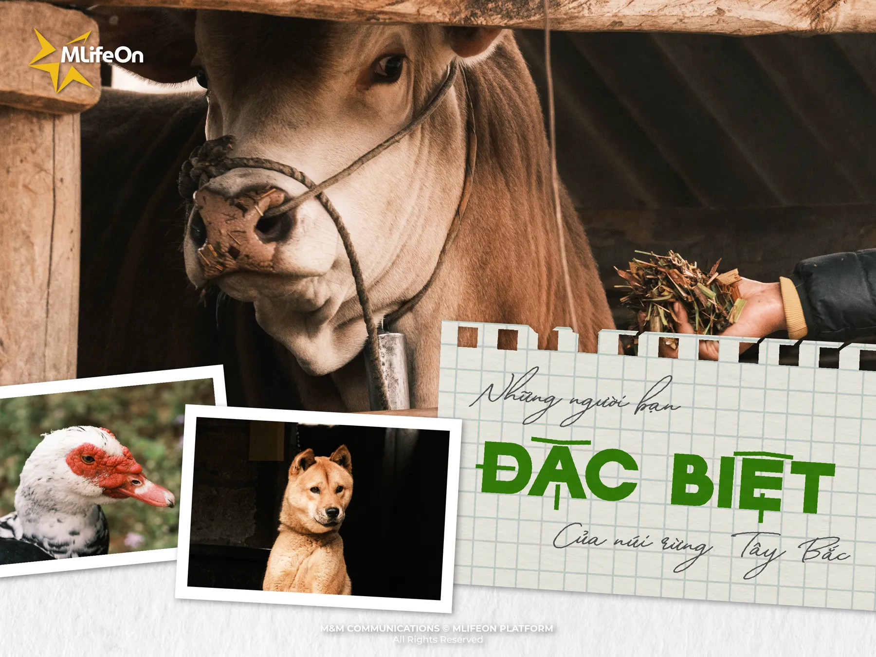 SPECIAL FRIENDS OF THE NORTHWEST MOUNTAINS