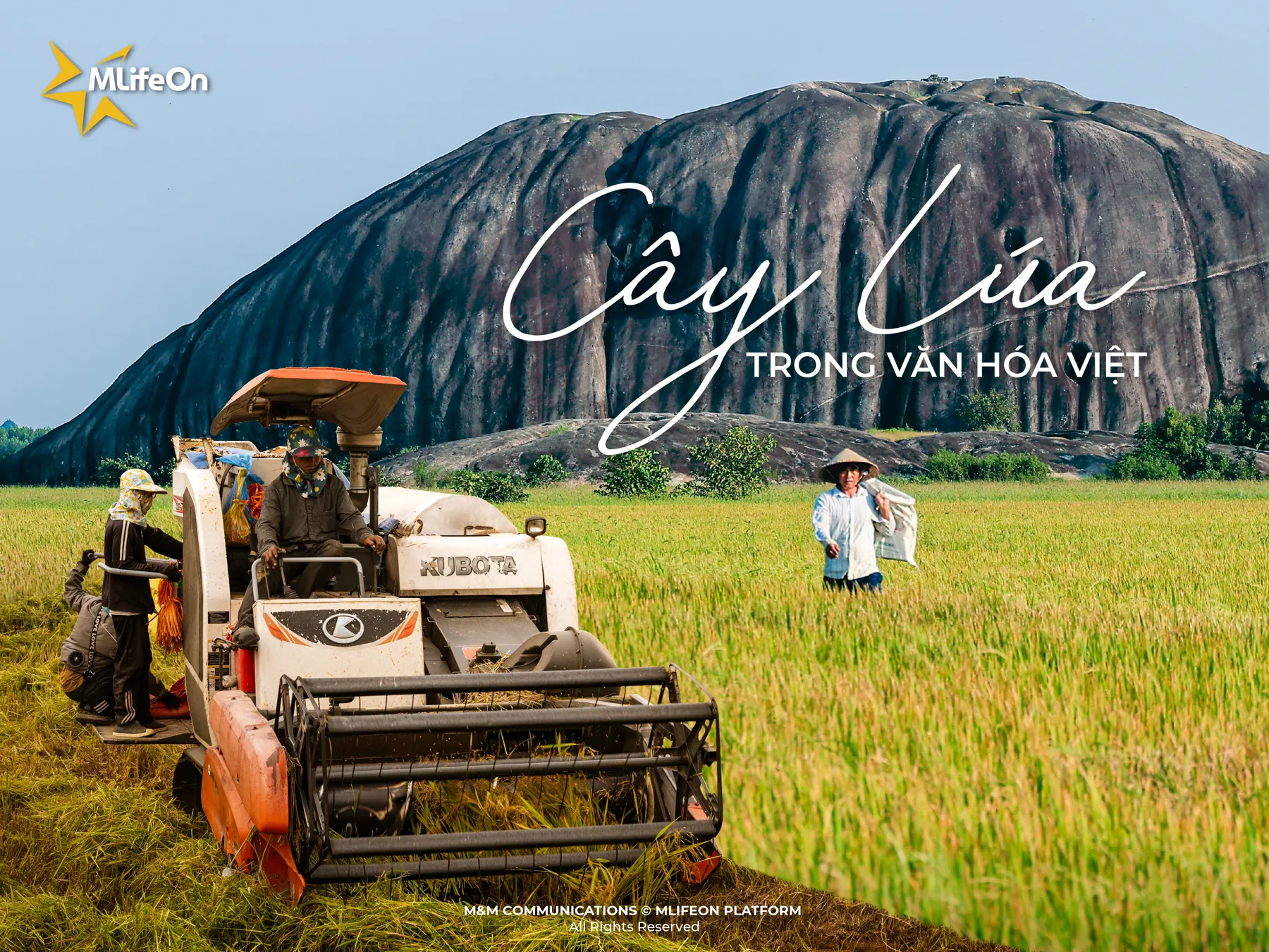 RICE - A PEARL OF THE SKY IN VIETNAMESE CULTURE