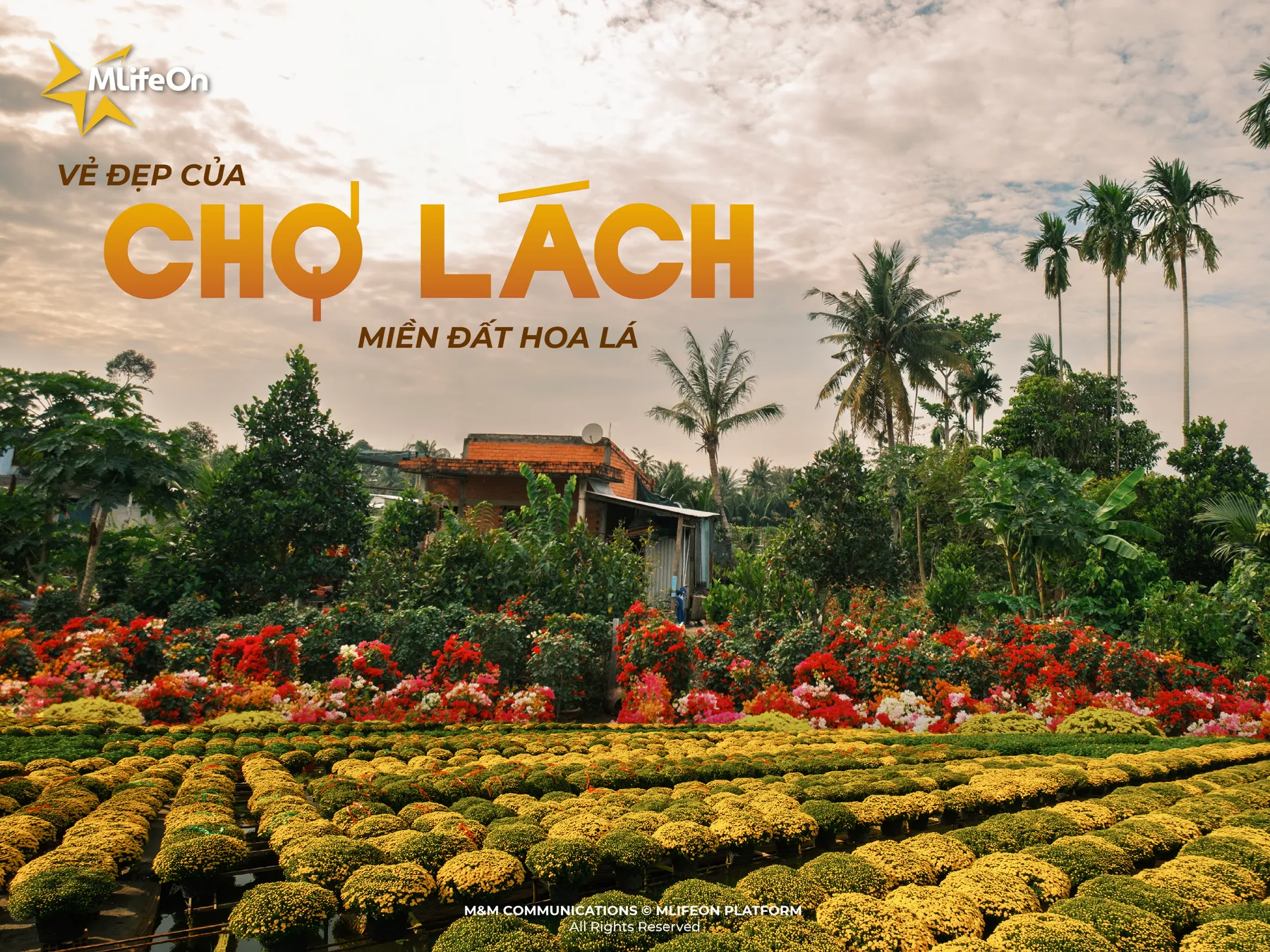 CHO LACH - THE BEAUTY OF THE KINGDOM OF FLOWERS