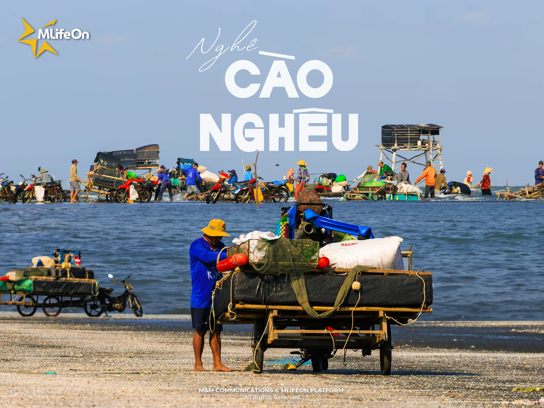 THE CLAM-RAKING TRADE – WEATHERED BY SEA WINDS, BURDENED BY LIVELIHOOD